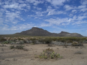 Durango desert